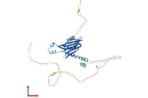 Protein Structure (PS) image for LIM Domain Binding 2 (LDB2) (AA 1-373) protein (His tag) (ABIN7548892)
