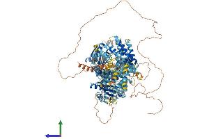 AlphaFold protein structure predicition of Human Recombinant TTC41P Protein, UniprotID Q6P2S7 (Ttc41/Gnn Protein (AA 1-1318) (His tag))