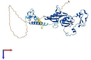 MRPS5 Protein (AA 1-430) (His tag)