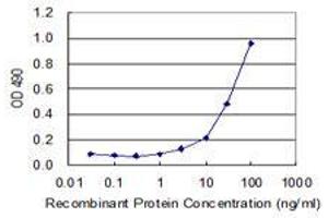 Sandwich ELISA detection sensitivity ranging from 3 ng/mL to 100 ng/mL. (COASY (Human) Matched Antibody Pair)