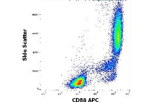 Flow cytometry surface staining pattern of human peripheral whole blood stained using anti-human CD88 (S5/1) APC antibody (10 μL reagent / 100 μL of peripheral whole blood). (C5AR1 Antikörper  (AA 15-27) (APC))