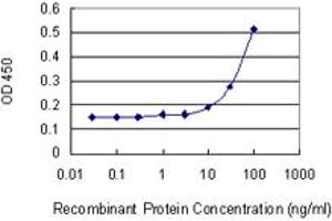 Detection limit for recombinant GST tagged ARPC2 is 3 ng/ml as a capture antibody. (ARPC2 Antikörper  (AA 1-300))
