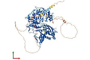 Protein Structure (PS) image for Xylosyltransferase I (XYLT1) (AA 1-959) protein (His tag) (ABIN7556026)