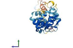 Protein Structure (PS) image for Kv Channel Interacting Protein 1 (KCNIP1) (AA 1-227) protein (His tag) (ABIN7561568)
