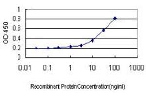 Detection limit for recombinant GST tagged RPL36A is approximately 1ng/ml as a capture antibody. (RPL36A Antikörper  (AA 7-106))