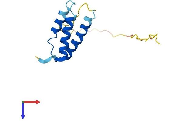 SDHAF1 Protein (AA 1-118) (His tag)