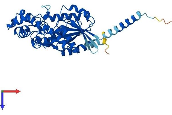 GNa14 Protein (AA 1-355) (His tag)