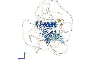 Protein Structure (PS) image for Euchromatic Histone-Lysine N-Methyltransferase 1 (EHMT1) (AA 1-1296) protein (His tag) (ABIN7563813)