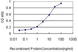 Detection limit for recombinant GST tagged CAMKK2 is approximately 1ng/ml as a capture antibody. (CAMKK2 Antikörper  (AA 1-130))