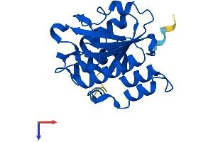 ISOC2 Protein (AA 1-205) (His tag)