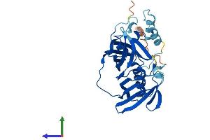 Protein Structure (PS) image for Acyl-CoA Thioesterase 8 (ACOT8) (AA 1-319) protein (His tag) (ABIN7551972)