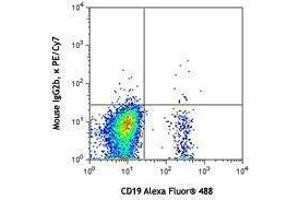 Flow Cytometry (FACS) image for anti-Chemokine (C-C Motif) Receptor 6 (CCR6) antibody (PE-Cy7) (ABIN2659155) (CCR6 Antikörper  (PE-Cy7))