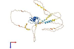 RNF44 Protein (AA 1-407) (His tag)