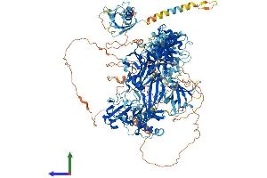 Protein Structure (PS) image for Ubiquitin Specific Peptidase 47 (USP47) (AA 1-1375) protein (His tag) (ABIN7555954)