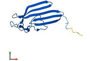 Protein Structure (PS) image for Churchill Domain Containing 1 (CHURC1) (AA 1-112) protein (His tag) (ABIN7557907)