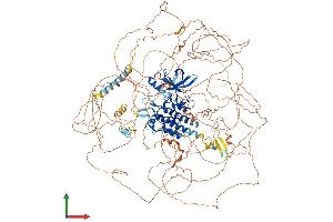 Protein Structure (PS) image for Lemur tyrosine Kinase 2 (LMTK2) (AA 1-1471) protein (His tag) (ABIN7563683)