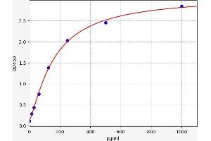 Typical standard curve (Calcium/calmodulin-Dependent Protein Kinase II (CAMK2) ELISA Kit)