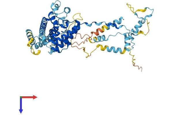 PRPF31 Protein (AA 1-499) (His tag)