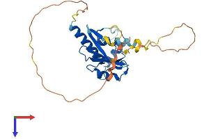 CISH Protein (AA 1-258) (His tag)