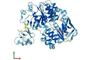 Protein Structure (PS) image for ATP-Binding Cassette, Sub-Family E (OABP), Member 1 (ABCE1) (AA 1-599) protein (His tag) (ABIN7556577)