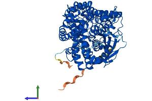AlphaFold protein structure predicition of Mouse Recombinant Thop1 Protein, UniprotID Q8C1A5