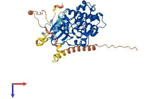SGK1 Protein (AA 1-431) (His tag)