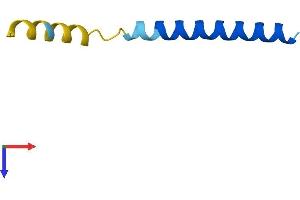 Phospholamban Protein (PLN) (AA 1-52) (Fc Tag)