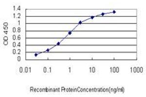 Detection limit for recombinant GST tagged MCPH1 is approximately 0. (MCPH1 Antikörper  (AA 399-487))