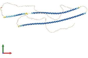 AlphaFold protein structure predicition of Mouse Recombinant Krt73 Protein, UniprotID Q6NXH9