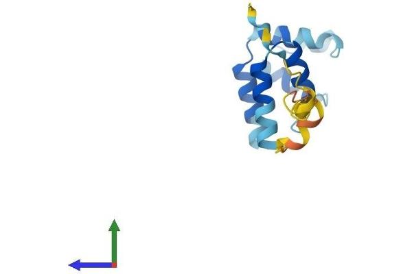PEA15 Protein (AA 1-130) (His tag)