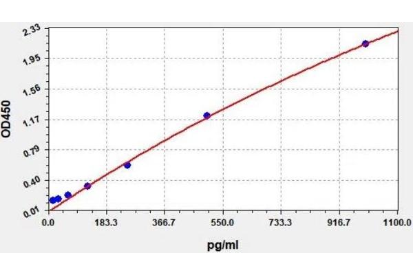 Chemokine (C-X-C Motif) Ligand 15 (CXCL15) ELISA Kit