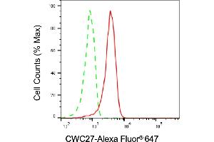 Flow cytometric analysis of CWC27 expression in HeLa cells using CWC27 antibody (ABIN7798183), 1:1,000). (Cwc27 Antikörper)