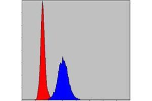 Flow cytometric analysis of Hela cells using MMP9 mouse mAb (blue) and negative control (red). (MMP 9 Antikörper)