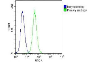 Overlay histogram showing NIH/3T3 cells stained with Antibody (green line). (PFN1 Antikörper  (AA 108-140))