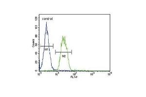 S6A12 Antibody (N-term) (ABIN654460 and ABIN2844193) flow cytometric analysis of MDA-M cells (right histogram) compared to a negative control cell (left histogram). (SLC6A12 Antikörper  (N-Term))