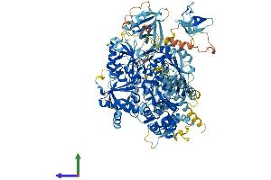 Protein Structure (PS) image for Phospholipase C gamma 2 (PLCG2) (AA 1-1265) protein (His tag) (ABIN7555009)