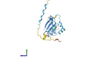 Protein Structure (PS) image for Regulator of Calcineurin 2 (RCAN2) (AA 1-197) protein (His tag) (ABIN7561501)