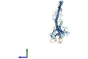 Protein Structure (PS) image for Tripartite Motif Containing 6 (TRIM6) (AA 1-488) protein (His tag) (ABIN7558548)