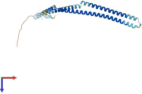 CENPH Protein (AA 1-241) (His tag)
