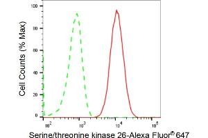 anti-Serine/threonine-Protein Kinase MST4 (MST4) antibody