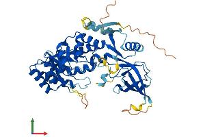 Protein Structure (PS) image for Antizyme Inhibitor 1 (AZIN1) (AA 1-448) protein (His tag) (ABIN7562327)