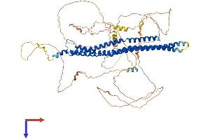MTSS1 Protein (AA 1-759) (His tag)