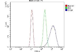 Flow Cytometry analysis of U20S cells using anti-Occludin/OCLN antibody (ABIN7601995). (Occludin Antikörper  (AA 54-270))