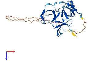 SPIN2A Protein (AA 1-258) (His tag)