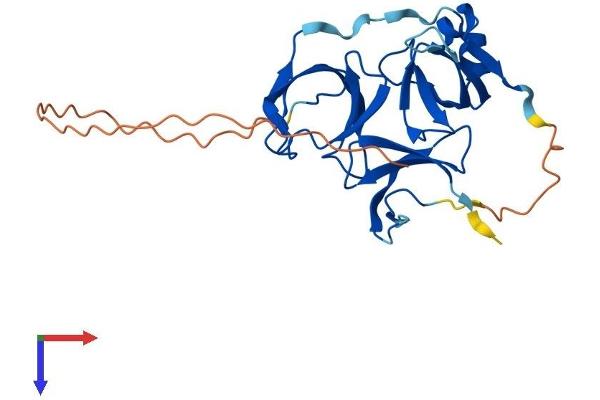 SPIN2A Protein (AA 1-258) (His tag)