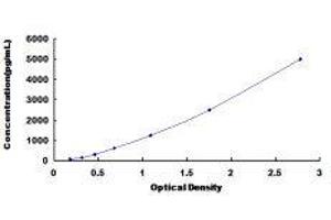 ELISA image for Malate Dehydrogenase 1, NAD (Soluble) (MDH1) ELISA Kit (ABIN423291) (MDH1 ELISA Kit)