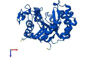 TATDN1 Protein (AA 1-297) (His tag)