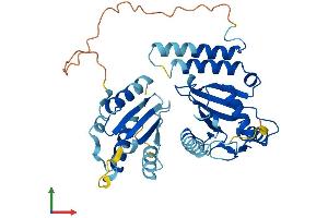 Protein Structure (PS) image for Ubiquitin-Conjugating Enzyme E2Q Family Member 2 (UBE2Q2) (AA 1-378) protein (His tag) (ABIN7559526)