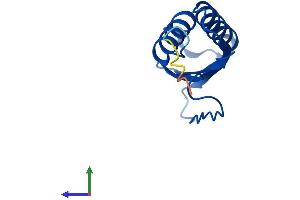Protein Structure (PS) image for Dynein, Light Chain, Tctex-Type 1 (DYNLT1) (AA 1-113) protein (His tag) (ABIN7563396)