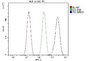 Flow Cytometry analysis of HeLa cells using anti-TEK antibody (ABIN7600762). (TEK Antikörper  (AA 23-616))